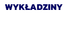 dla-hoteli.pl